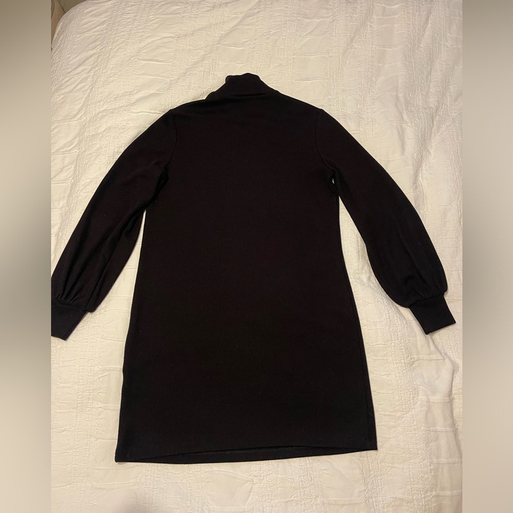 Turtle Neck Long Sleeve Sweater Dress